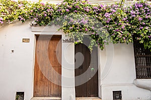 Cartagena`s elaborate door knockers date back to colonial times. There is a history behind each door. photo